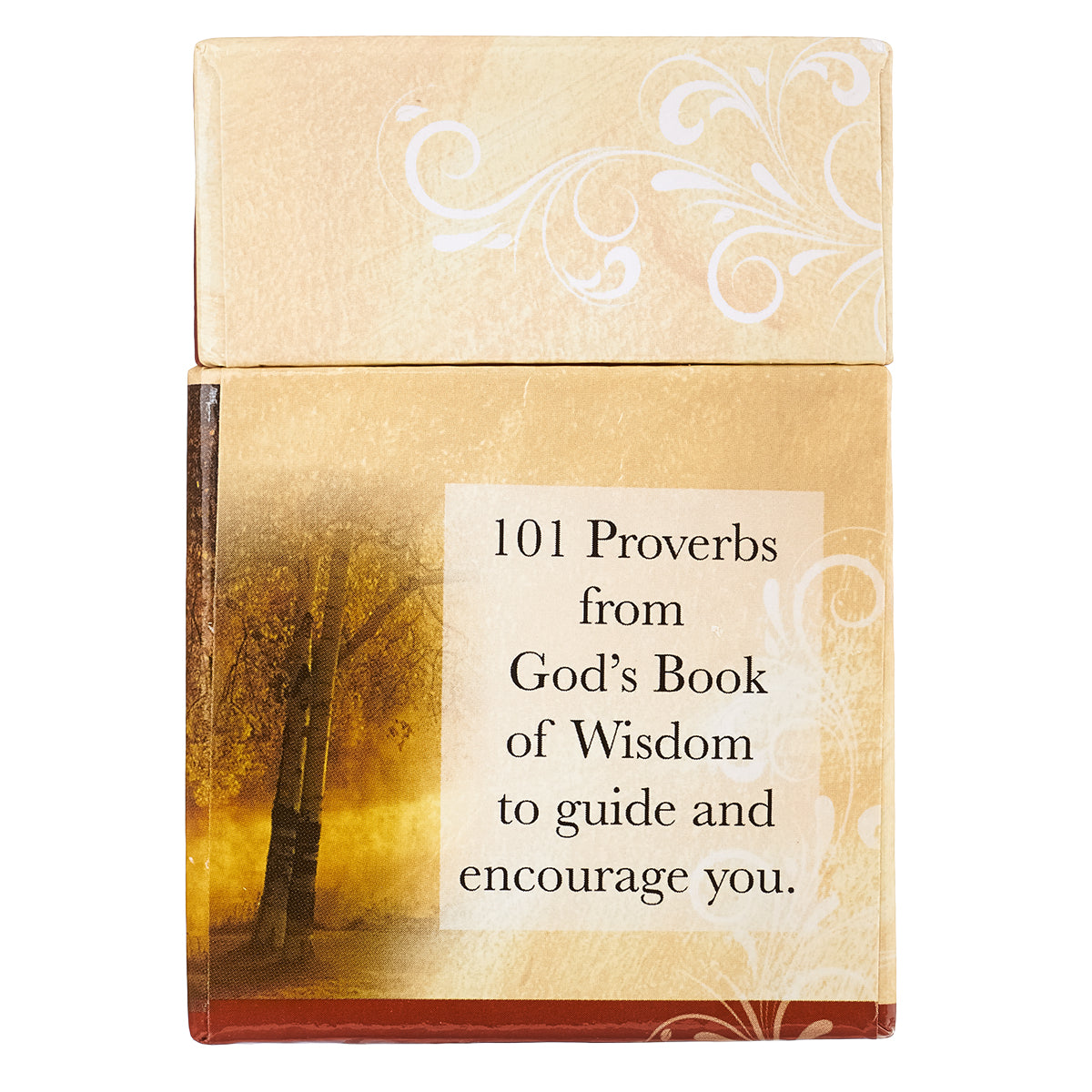 Image of 101 Proverbs to Live By other