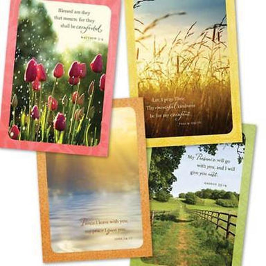 Image of Sympathy - Serenity - 12 Boxed Cards other