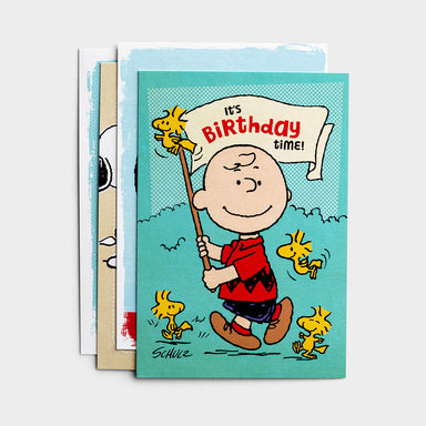 Image of Peanuts - All Occasion - 12 Boxed Cards other