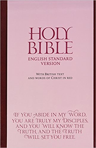 Image of ESV Anglicised Bonded Leather Bible other