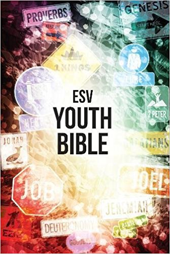 Image of ESV Youth Bible other