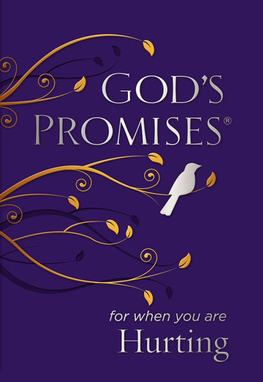 Image of God's Promises for When You are Hurting other