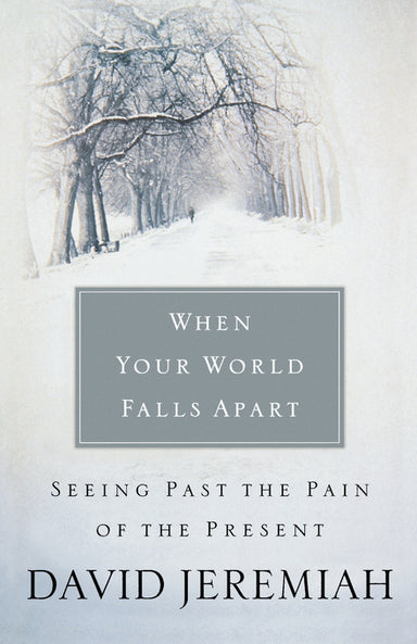 Image of When Your World Falls Apart: See Past the Pain of the Present other