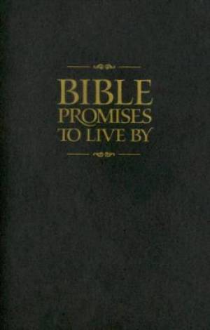 Image of Bible Promises To Live By other