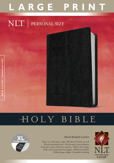 Image of NLT Large Print Holy Bible other