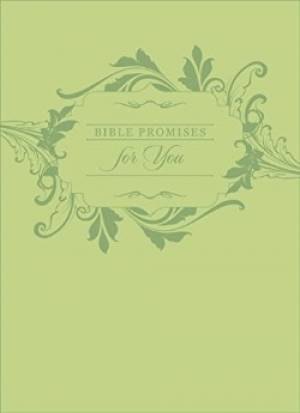 Image of Bible Promises for You other