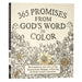 Image of 365 Promises God's Word in Color other