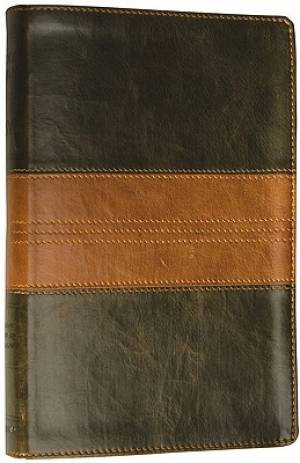 Image of ESV Thinline Bible other