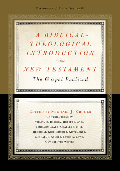Image of A Biblical-Theological Introduction to the New Testament other