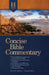 Image of Holman Concise Bible Commentary other