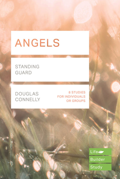 Image of Lifebuilder Bible Study: Angels other