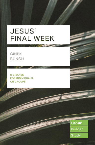 Image of Lifebuilder Bible Study: Jesus' Final Week other