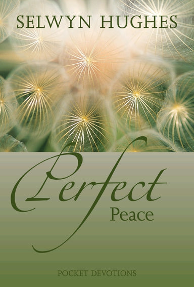 Image of Perfect Peace other