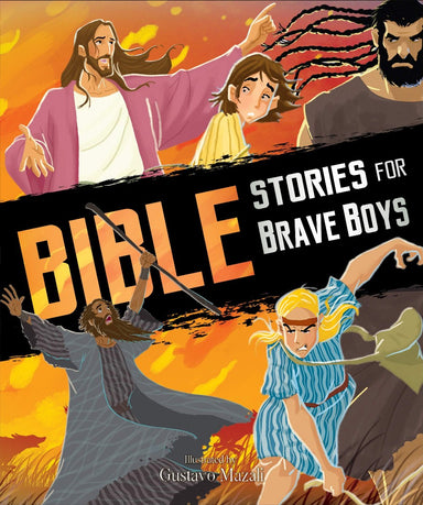 Image of Bible Stories for Brave Boys other