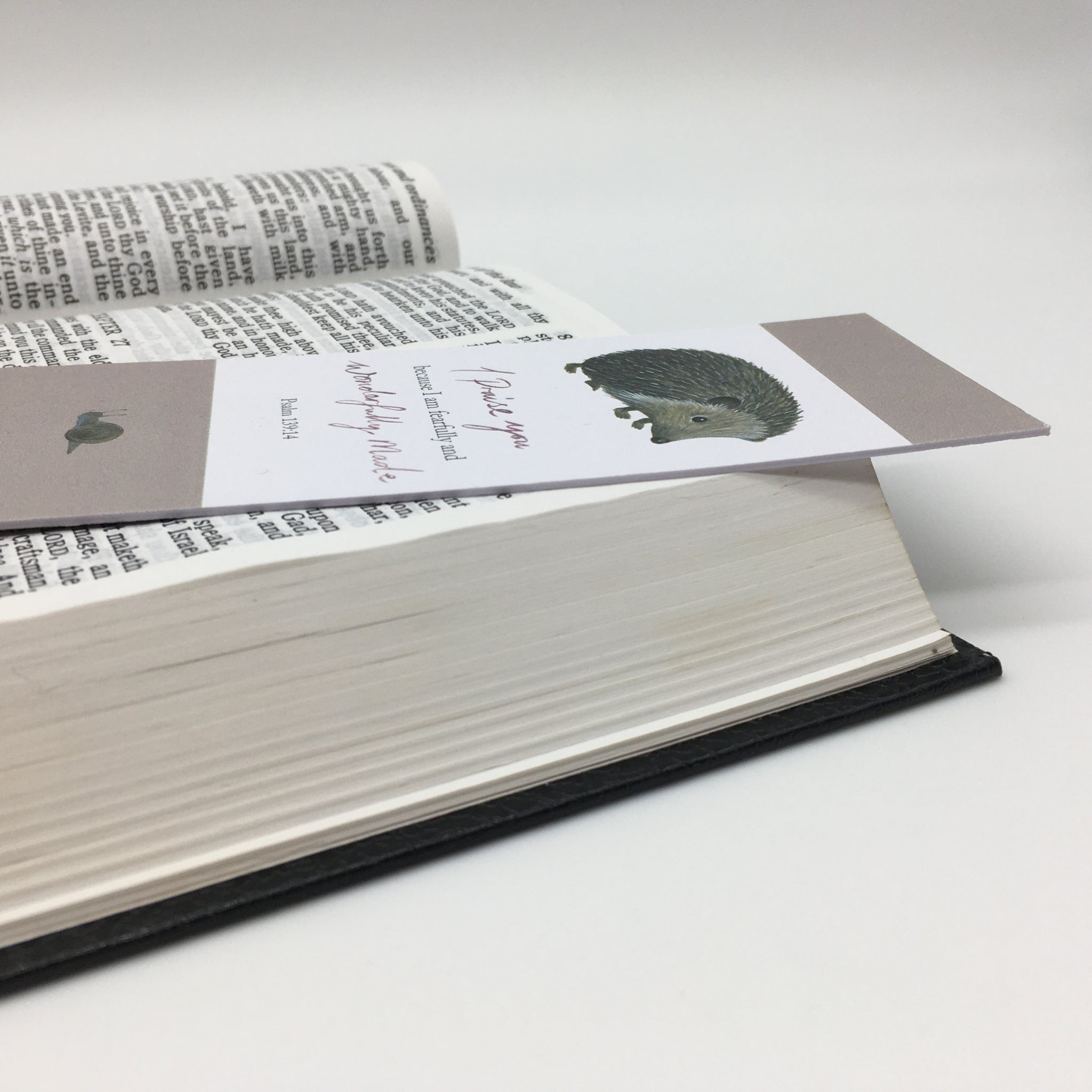 Image of Praise Bookmark other