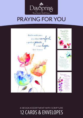 Image of Roy Lessin - Praying for You - Meet Me in the Meadow - 12 Boxed Cards, KJV other
