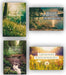 Image of Tony Evans - Birthday - 12 Boxed Cards other
