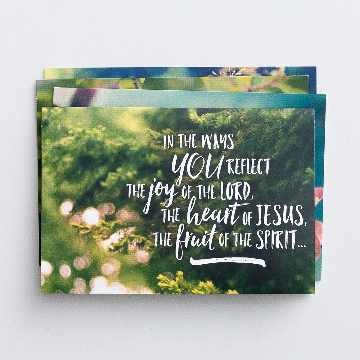 Image of Ministry Appreciation - Nature - 12 Boxed Cards, KJV other