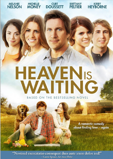 Image of Heaven Is Waiting DVD other