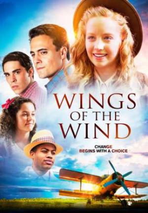 Image of Wings of the Wind DVD other