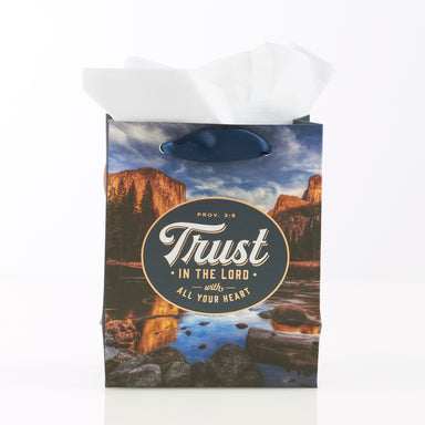 Image of Trust in the Lord Extra Small Gift Bag – Proverbs 3:5 other