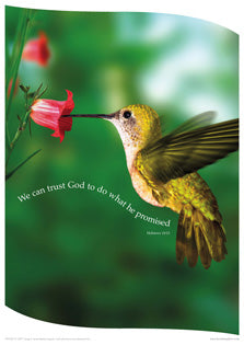 Image of We Can Trust God Poster other