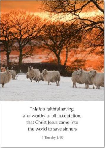 Image of Greetings Cards: Christ Jesus came...to save sinners - 1 Timothy 1.15 other