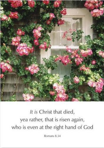 Image of Greetings Cards: It is Christ that died...that is risen again - Romans 8.34 other