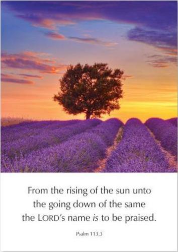 Image of Greetings Cards: The LORD's name is to be praised - Psalm 113.3 other