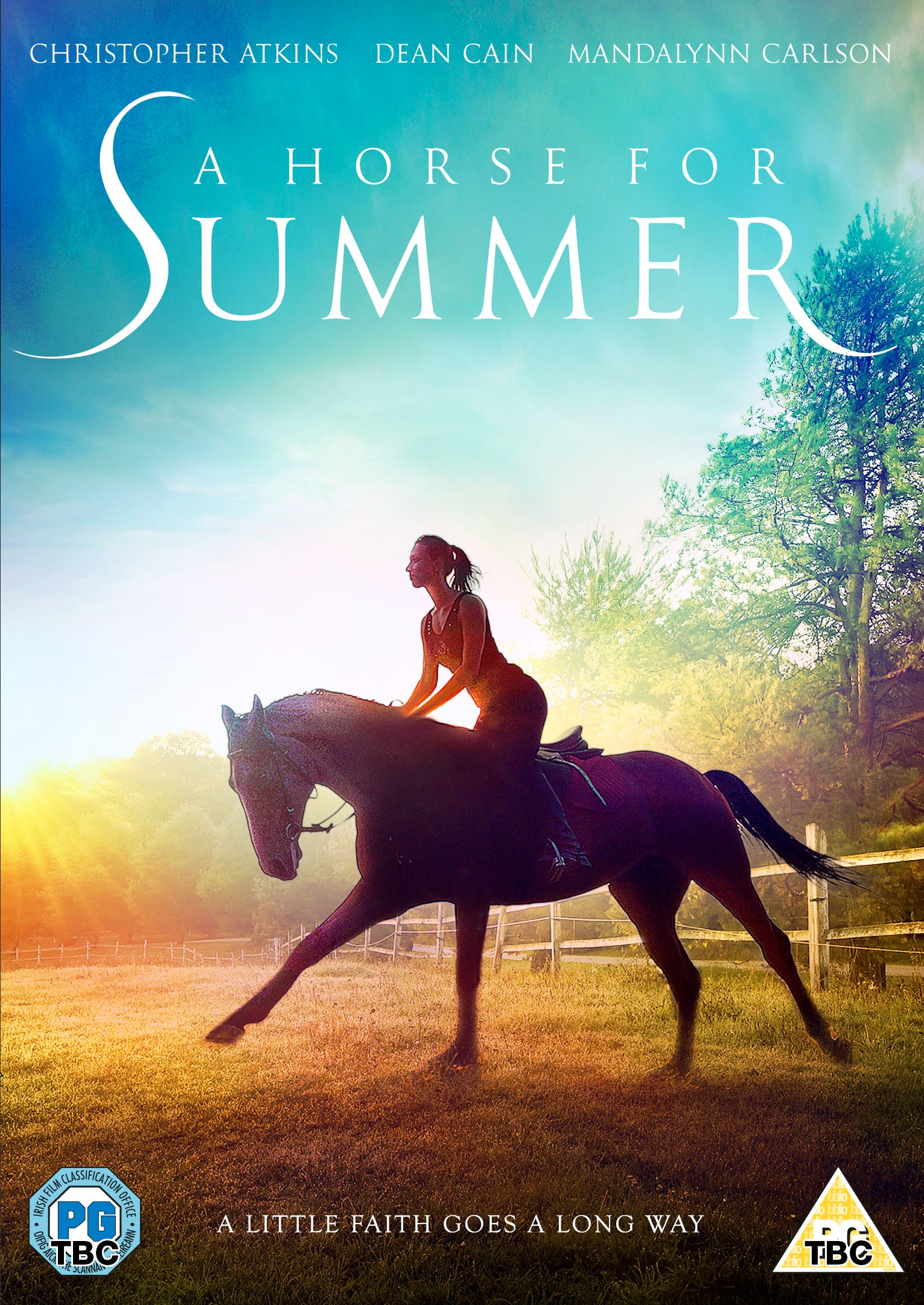 Image of A Horse For Summer DVD other