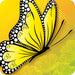 Image of Yellow butterfly Coaster other