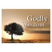 Image of Godly Wisdom Faithbuilders other