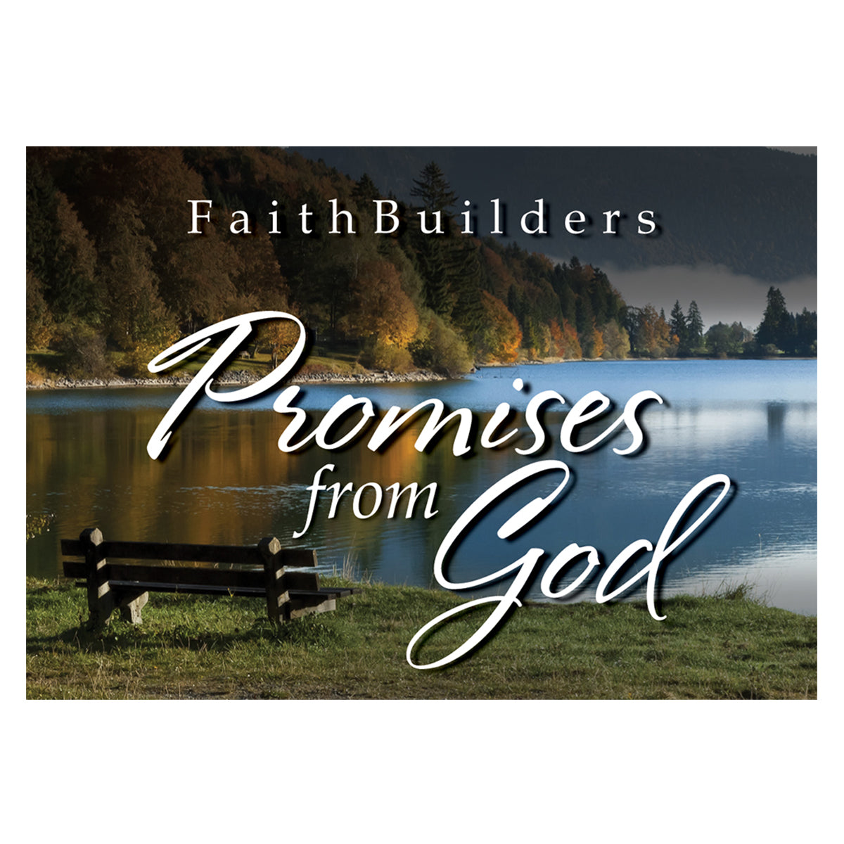Image of Promises from God Faithbuilders other