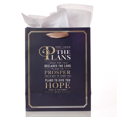 Image of For IFor I Know the Plans Medium Gift Bag - Jeremiah 29:11  Know the Plans - Jeremiah 29:11 Medium Gift Bag other