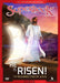 Image of He Is Risen! DVD other