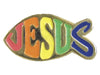 Image of Lapel Pin Jesus Fish other