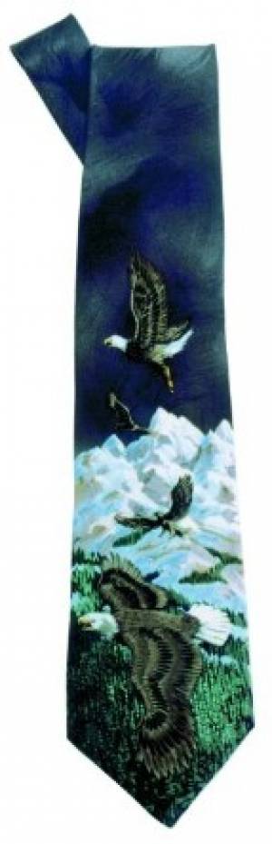 Image of Tie: Eagles Black other