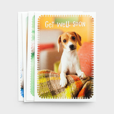 Image of Whiskers & Paws - Get Well - Surrounded in Prayer - 12 Boxed Cards other