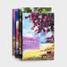 Image of Birthday - Colorful Landscapes - 12 Boxed Cards, KJV other