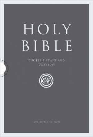 Image of ESV Compact Bible: Two-tone, Imitation Leather, British Text other
