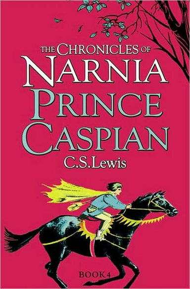 Image of Prince Caspian other