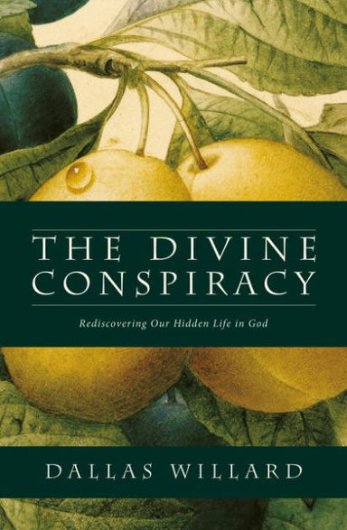 Image of The Divine Conspiracy other