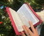 Image of ESV Pink Compact Zip Bible other
