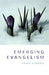 Image of Emerging Evangelism other