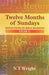Image of Twelve Months of Sundays : Year C: Reflections on Bible Readings other
