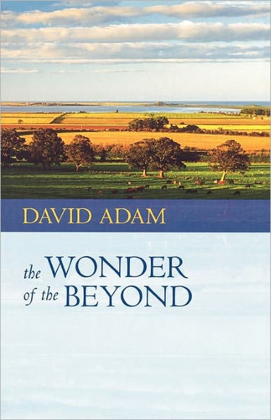 Image of The Wonder of the Beyond other