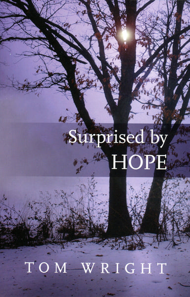 Image of Surprised by Hope other