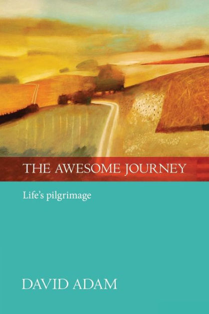 Image of The Awesome Journey other