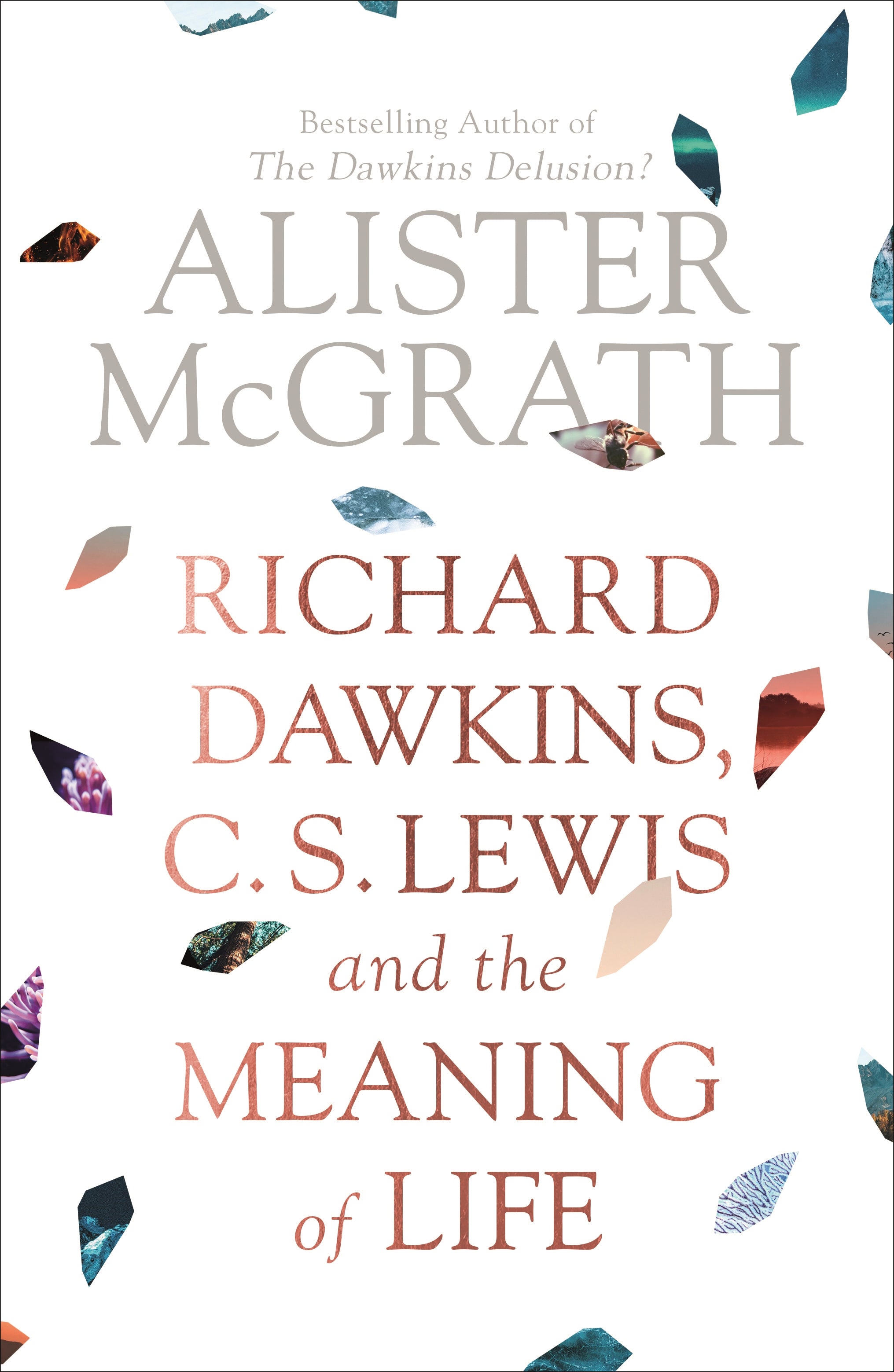 Image of Richard Dawkins, C. S. Lewis and the Meaning of Life other