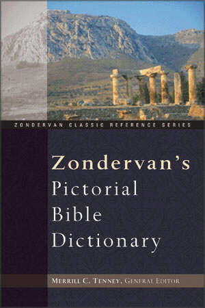 Image of Zondervan's Pictorial Bible Dictionary other